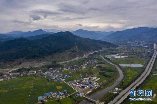 重庆新冠源头爆料最新,揭秘病毒起源之谜